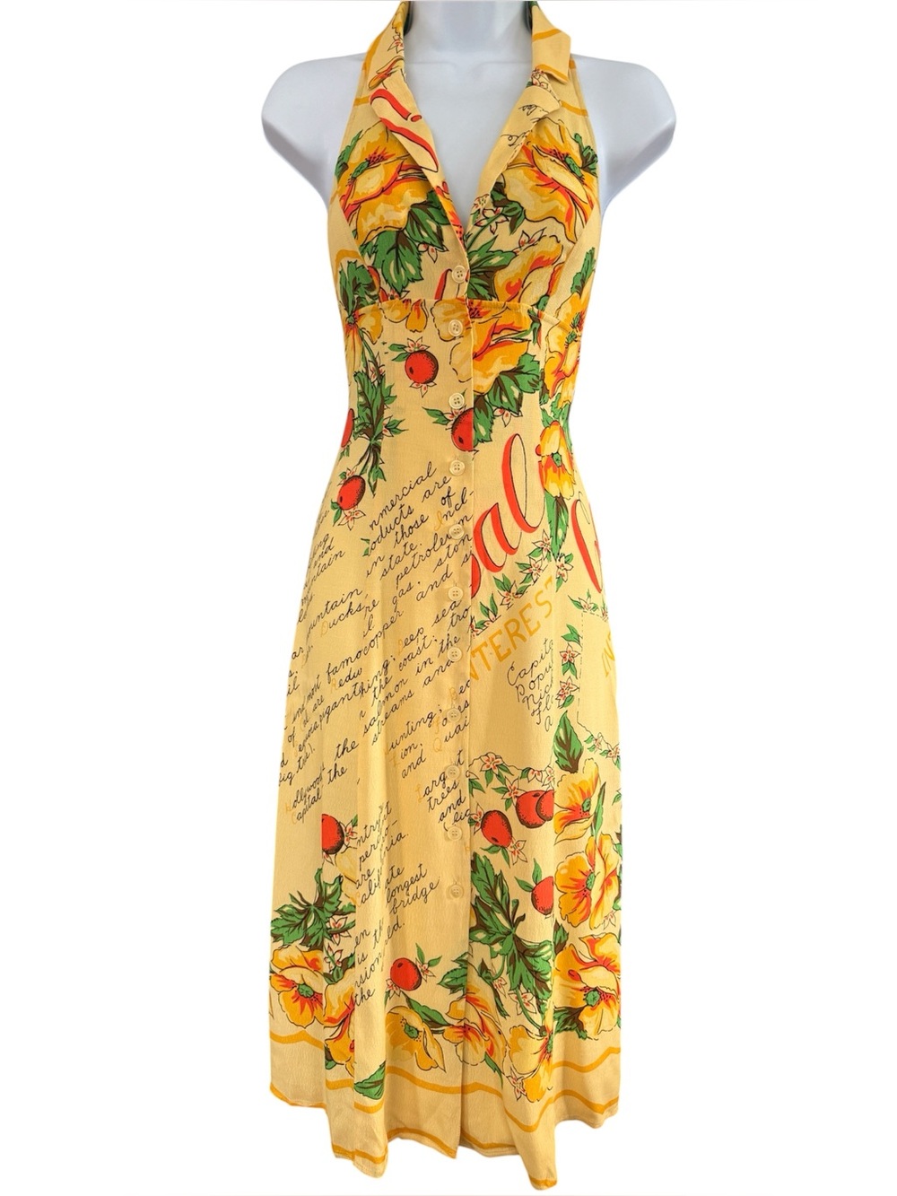 Urban Outfitters Midi fruiti Dress XS  NWOT